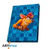 Εικόνα της CRASH BANDICOOT - A5 Notebook "Crash & Coco"