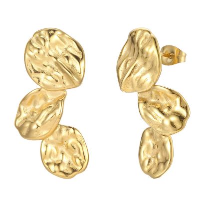Εικόνα της Earrings, 18K Gold Plated Steel