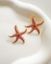 Εικόνα της Pink Seastar Earrings
