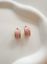 Εικόνα της Pink Oval Hoops