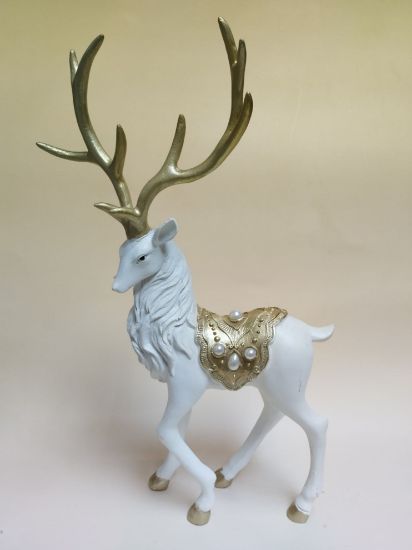 Εικόνα της ΛΕΥΚΟΣ ΤΑΡΑΝΔΟΣ