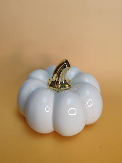 Εικόνα της ΚΟΛΟΚΥΘΑ ΑΣΠΡΗ