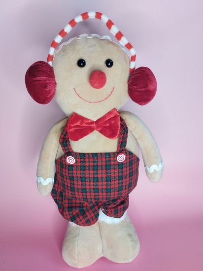 Εικόνα της ΜΠΙΣΚΟΤΟΥΛΗΣ