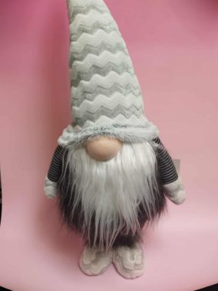 Εικόνα της ΝΑΝΑΚΙ ΓΚΡΙ ΑΣΗΜΙ