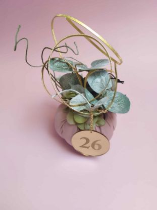 Εικόνα της ΔΙΑΚΟΣΜΗΤΙΚΗ ΚΟΛΟΚΥΘΑ ΜΙΚΡΗ ΡΟΖ