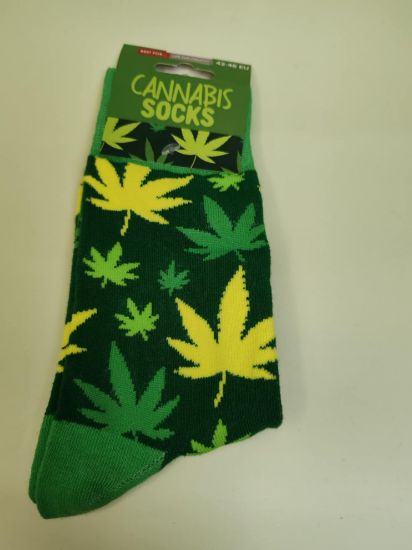 Εικόνα της ΚΑΛΤΣΕΣ ΜΑΡΙΧΟΥΑΝΑ